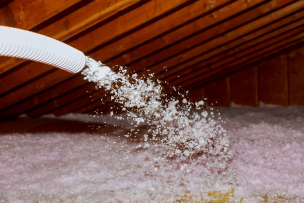 Garage Insulation Installation in Vienna, IL