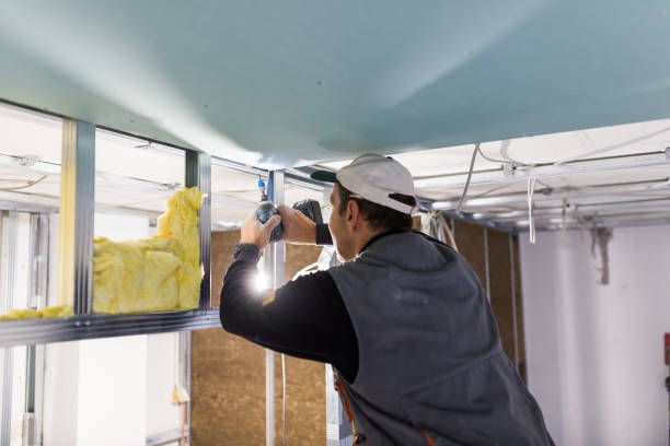 Best Insulation Contractors for Homes  in Vienna, IL