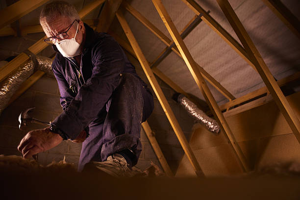 Best Residential Insulation Services  in Vienna, IL