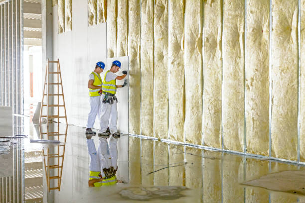 Best Affordable Insulation Services  in Vienna, IL